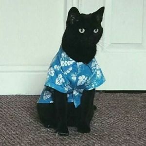 Meet your Posher, Stephen